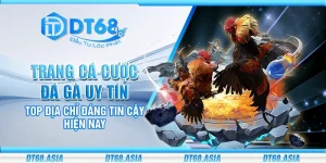 Trang cá cược đá gà uy tín - Top địa chỉ đáng tin cậy hiện nay
