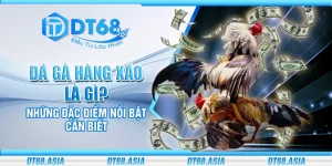 Đá gà hàng xáo là gì? Những đặc điểm nổi bật cần biết