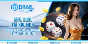 Mẹo chơi tài xỉu MD5 - Cách bắt nhịp cầu nhanh để vào tiền chuẩn