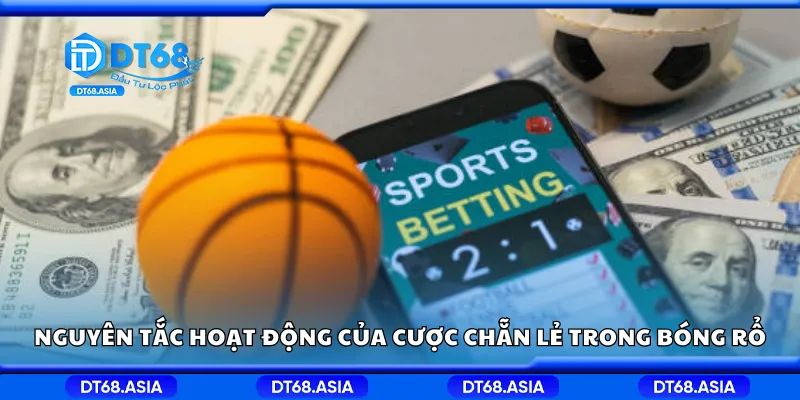 Nguyên tắc hoạt động của cược chẵn lẻ trong bóng rổ
