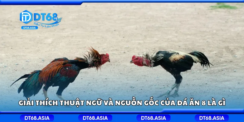 Giải thích thuật ngữ và nguồn gốc của đá ăn 8 là gì