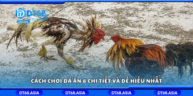 Cách chơi đá ăn 8 chi tiết và dễ hiểu nhất