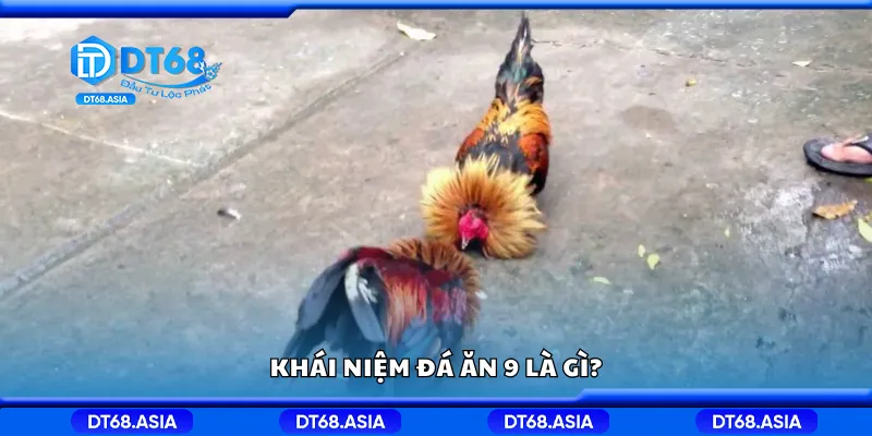 Khái niệm đá ăn 9 là gì?