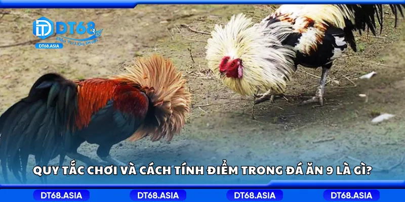 Quy tắc chơi và cách tính điểm trong đá ăn 9 là gì?