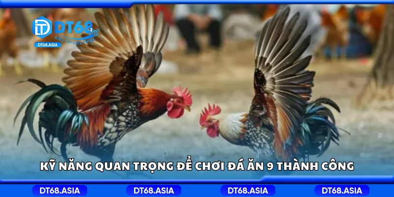 Kỹ năng quan trọng để chơi đá ăn 9 thành công