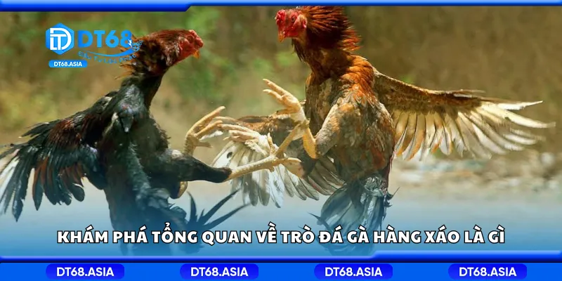 Khám phá tổng quan về trò đá gà hàng xáo là gì