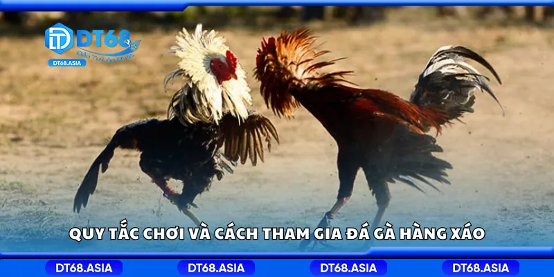 Quy tắc chơi và cách tham gia đá gà hàng xáo