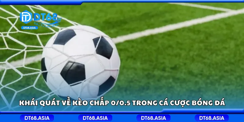 Khái quát về kèo chấp 0/0.5 trong cá cược bóng đá