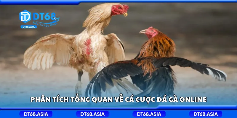 Phân tích tổng quan về cá cược đá gà online