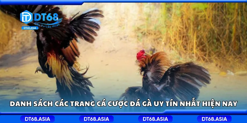 Danh sách các trang cá cược đá gà uy tín nhất hiện nay