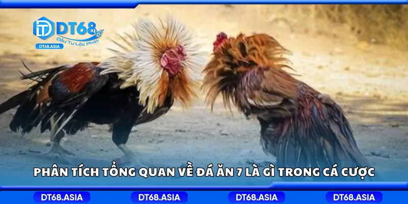 Phân tích tổng quan về đá ăn 7 là gì trong cá cược