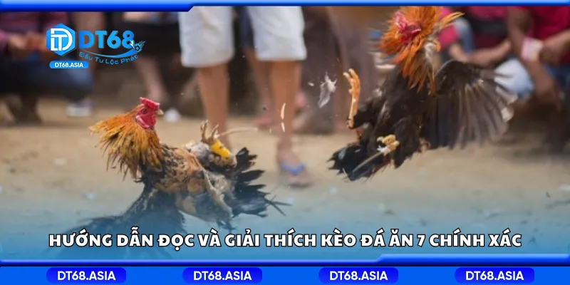 Hướng dẫn đọc và giải thích kèo đá ăn 7 chính xác