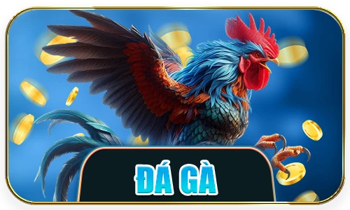 đá gà dt68
